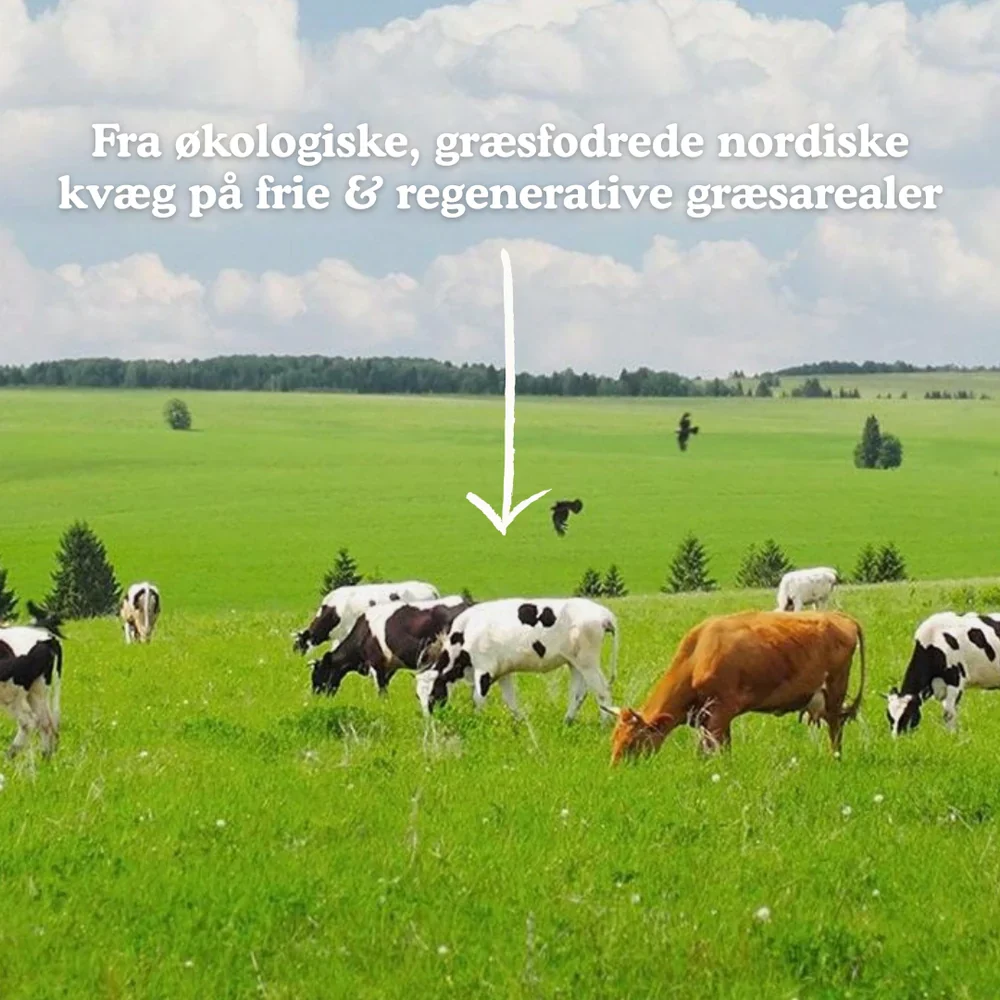 Functional Future Økologisk Bone Broth Kollagen (250g) - Image 3