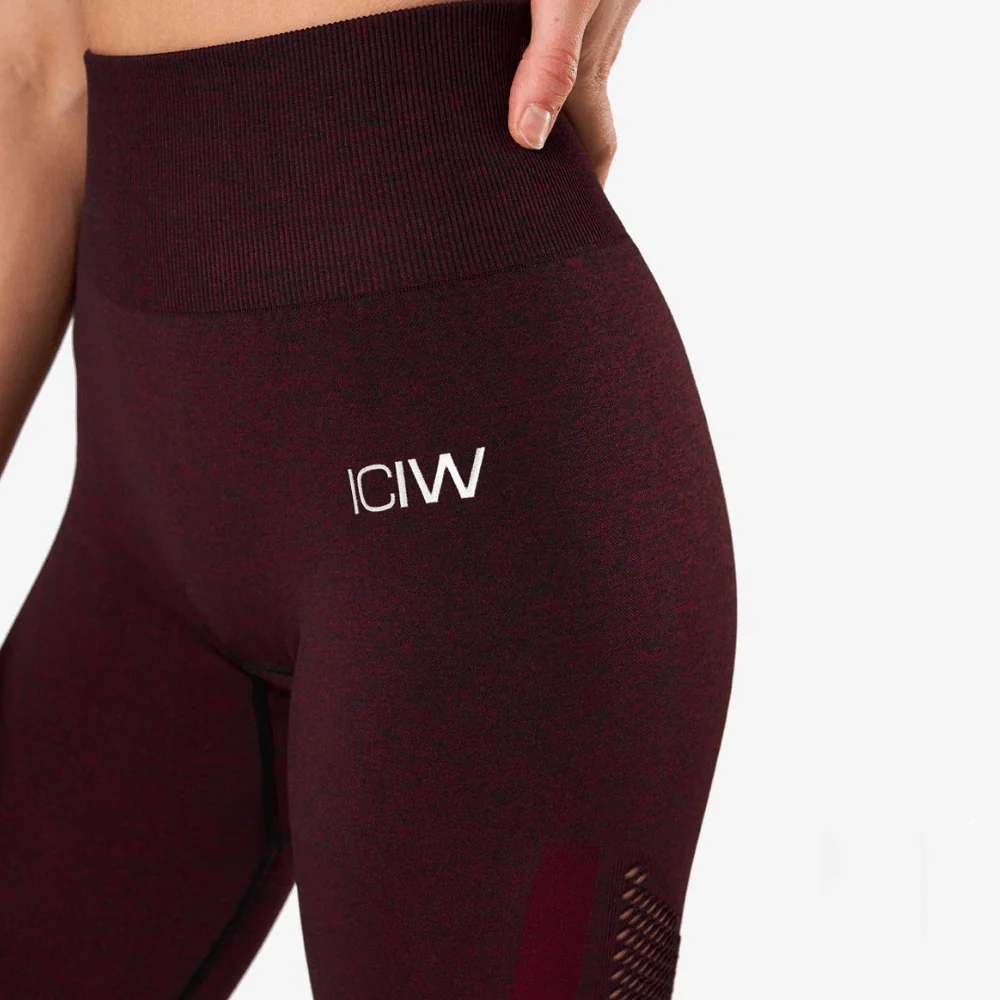 ICANIWILL Queen Mesh Tights Burgundy Melange Wmn - Image 3